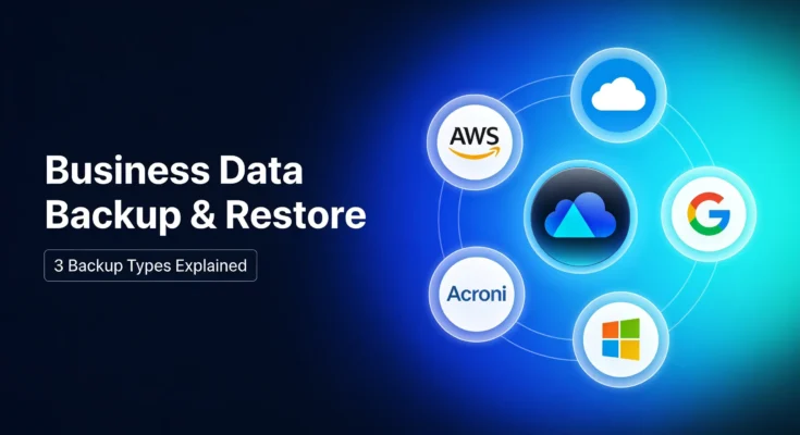 Business Data Backup and Restore 3 Types Every CXO Needs